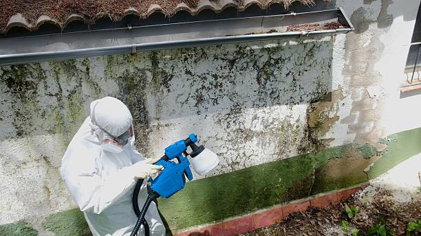 Top rated local Crawl Space Mold Remediation specialists in Berwyn, PA